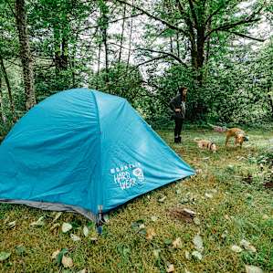 Campsite #1