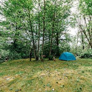 Campsite #1