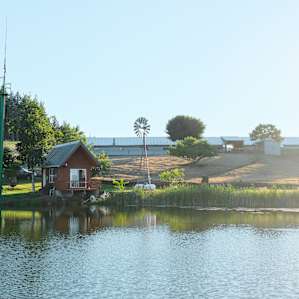 The cabin from across the pond, next to a zip line and rope-swing.