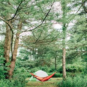camp surrounded by beautiful Hemlock & Black Locust trees