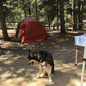 Baby Doe Campground
