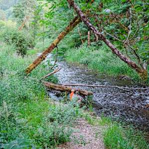Fishing for crawfish along the peaceful river.