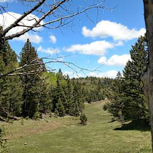 Hike the old railroad bed.