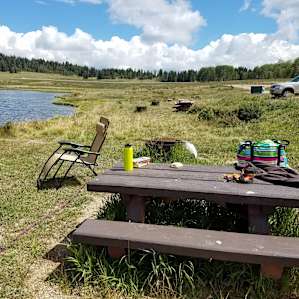 Lakeside picnic