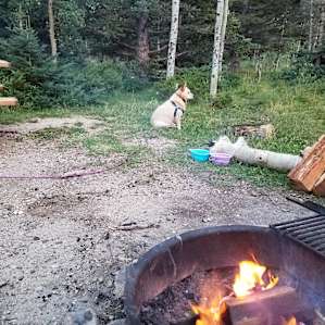 Fire time