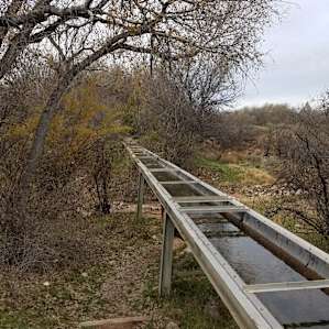 Along the trail.