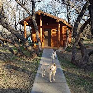 Love the cabins!