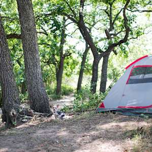 tent forest lodging