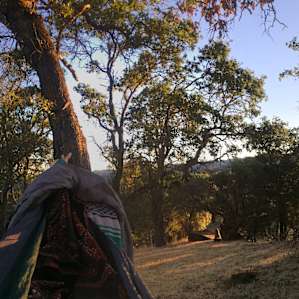 Woken up by the sun