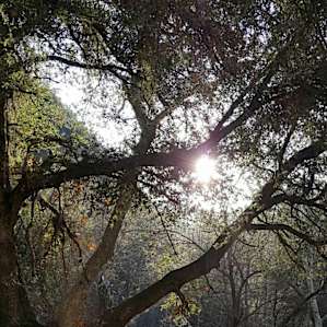 Glenn Camp Campground