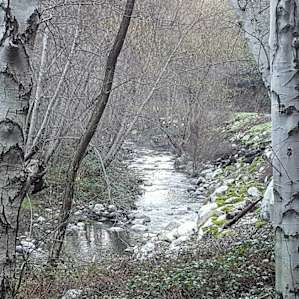 Glenn Camp Campground