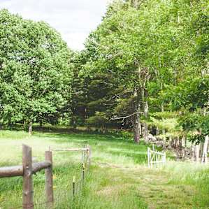 Rustic Cabin on Organic Farm