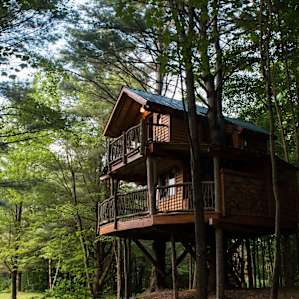 Moose Meadow Lodge & Treehouse