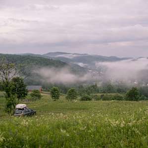 Morning view after a good long rain
