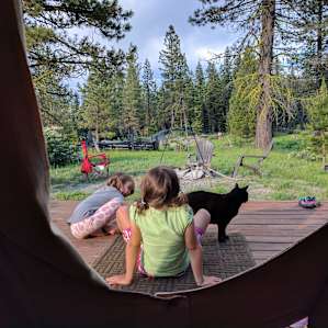 Tipi Camping