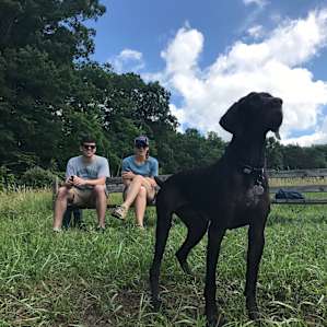 Dogs loved the pond!