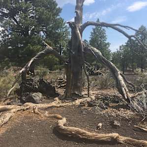 At sunset crater