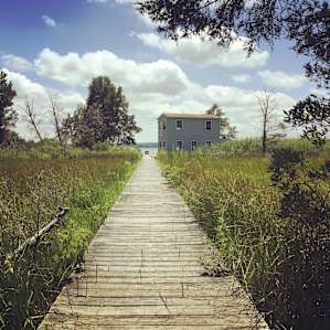 Kitts Marsh on Patuxent River