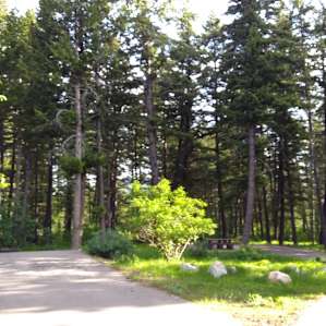 Scout Mountain Campground