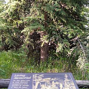 Scout Mountain Campground