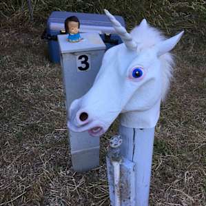 Our first unicorn spotting. Eunice found him.