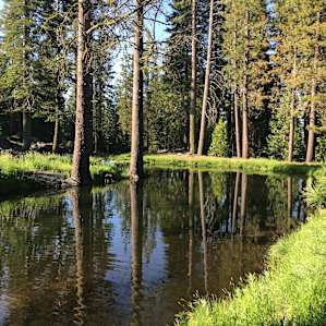 Old West Ranch Site #1