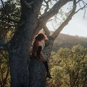 There's a few gorgeous oak trees here.