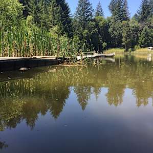 The lake - taken while sitting in the water staying cool.