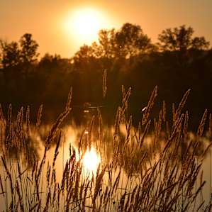 Lakeview Sunrise