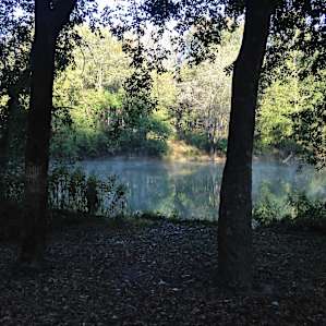 Waterfront camping with plenty of fish for everyone.