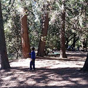 Observatory Campground