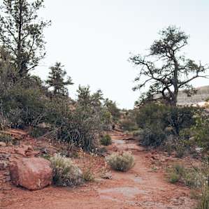 desert