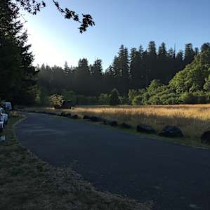 Site 22 on the left in the morning.