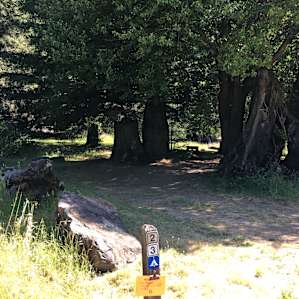 One of the better sites for views and privacy.
