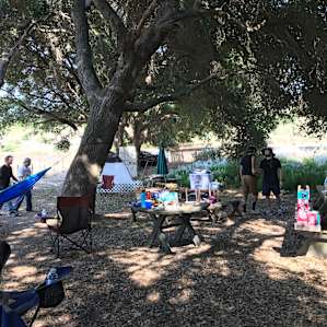 Plenty of shade and horseshoe pit