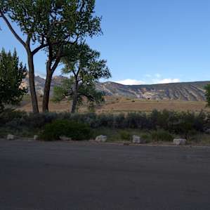 Campsite 23 view - Green river is past shrubs