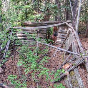 Abandoned cabin found on the trail behind the campsite.