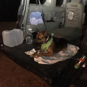 Mushroom enjoying his evening snack