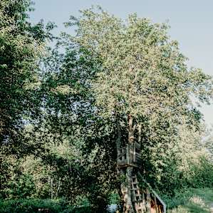 even suited with a treehouse!