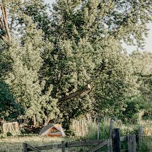 Perfect little tent site!