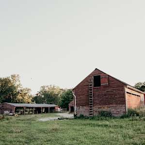 Farm views at sunset.