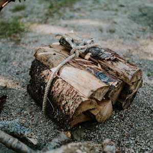 Campwood, yay! You can find this for sale all over the island if you don't want to hunt some down yourself.