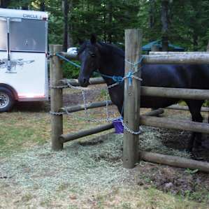nice sturdy wood pole corrals