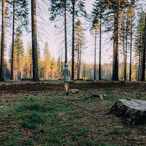 Stumpy Meadows Campground