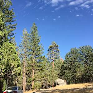 Lower Peppermint Campground