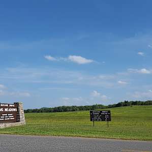 Arrive at Big Meadows