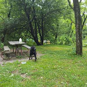 Campsite at Loft Mountain