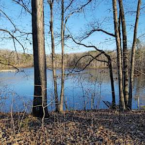 Bear Creek Lake