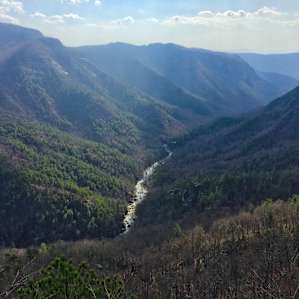 Linville Gorge Wilderness Area