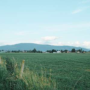 A great view of the Twin Sisters and part of Mount Baker across the field.